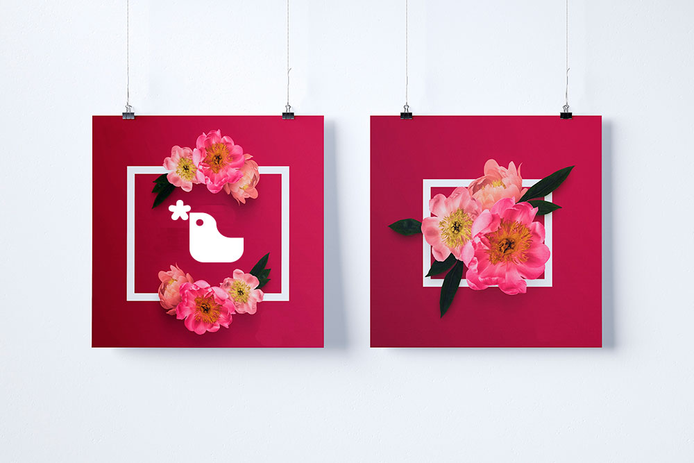 Saira Design - Productos - Lienzo